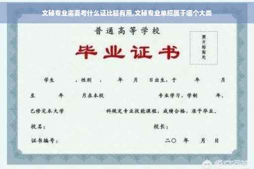 文秘专业需要考什么证比较有用,文秘专业单招属于哪个大类