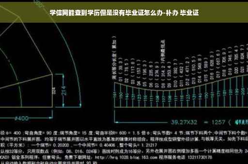 学信网能查到学历但是没有毕业证怎么办-补办 毕业证
