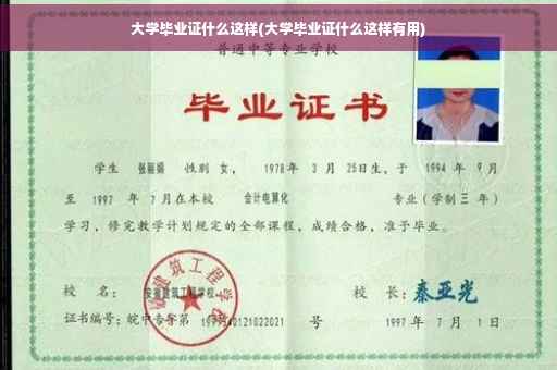 大学毕业证什么这样(大学毕业证什么这样有用)
