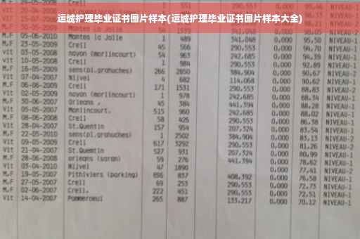运城护理毕业证书图片样本(运城护理毕业证书图片样本大全)