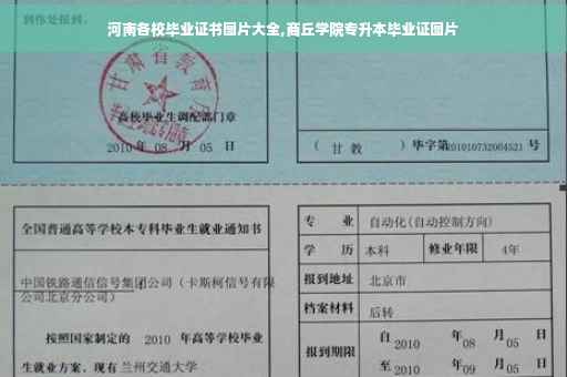 河南各校毕业证书图片大全,商丘学院专升本毕业证图片