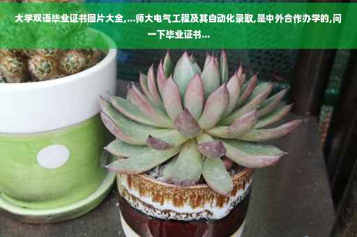 大学双语毕业证书图片大全,...师大电气工程及其自动化录取,是中外合作办学的,问一下毕业证书...