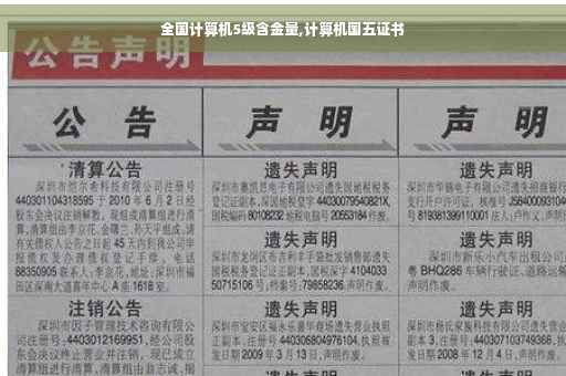 全国计算机5级含金量,计算机国五证书