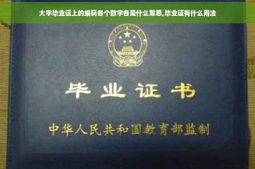 大学毕业证上的编码各个数字各是什么意思,毕业证有什么用法