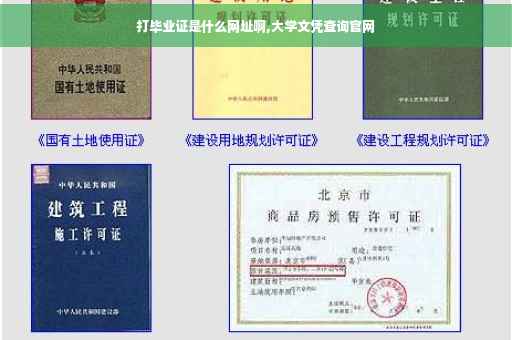打毕业证是什么网址啊,大学文凭查询官网