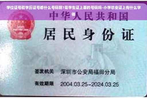 学位证号和学历证号都什么号码啊?是学生证上面的号码吗-小学毕业证上有什么字体