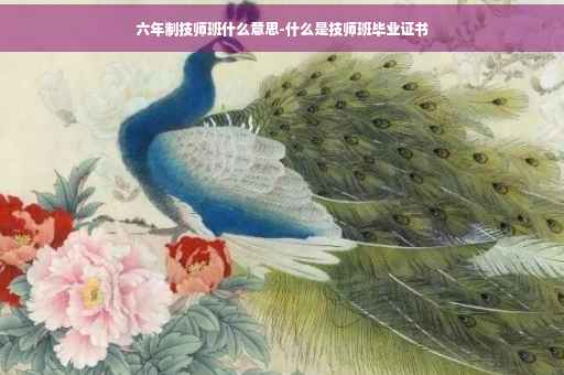 六年制技师班什么意思-什么是技师班毕业证书