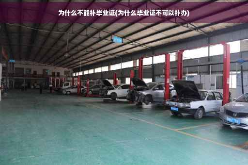 为什么不能补毕业证(为什么毕业证不可以补办)