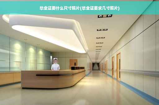 毕业证要什么尺寸照片(毕业证要求几寸照片)