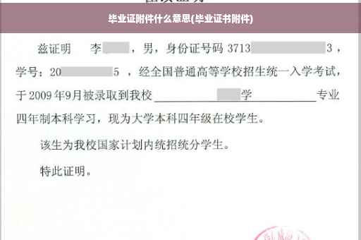 毕业证附件什么意思(毕业证书附件)