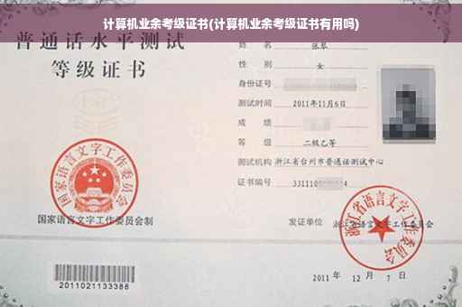 计算机业余考级证书(计算机业余考级证书有用吗)