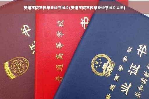 安阳学院学位毕业证书图片(安阳学院学位毕业证书图片大全)