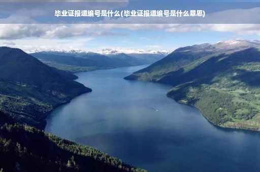 毕业证报道编号是什么(毕业证报道编号是什么意思)