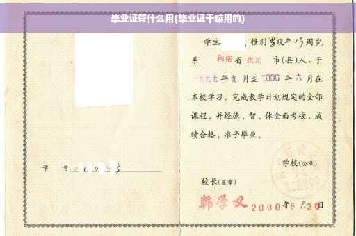 毕业证管什么用(毕业证干嘛用的)