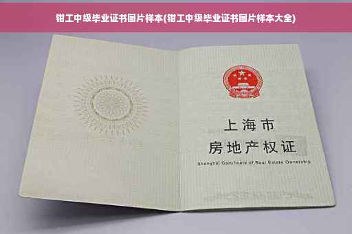 钳工中级毕业证书图片样本(钳工中级毕业证书图片样本大全)