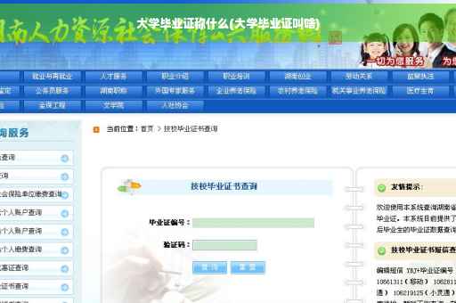 大学毕业证称什么(大学毕业证叫啥)