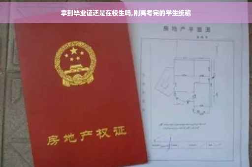 拿到毕业证还是在校生吗,刚高考完的学生统称