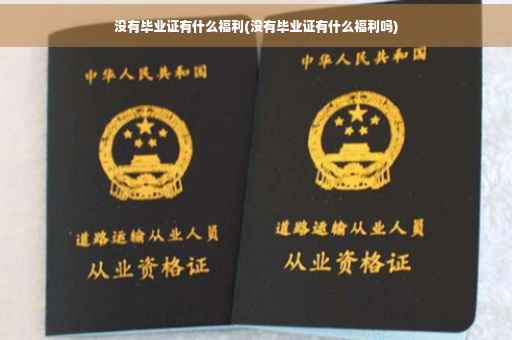没有毕业证有什么福利(没有毕业证有什么福利吗)