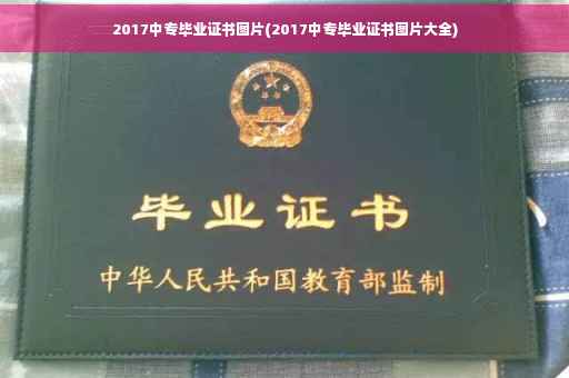 2017中专毕业证书图片(2017中专毕业证书图片大全)