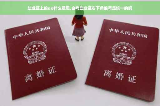 毕业证上的no什么意思,自考毕业证右下角编号是统一的吗