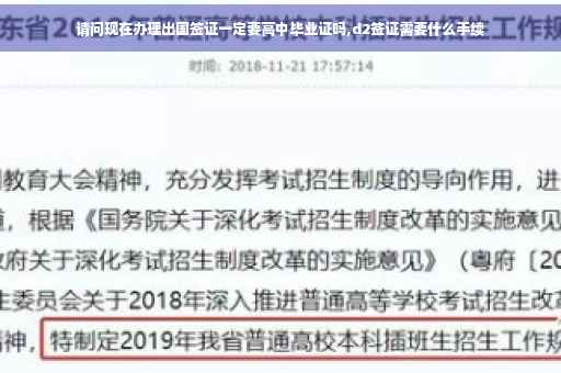 请问现在办理出国签证一定要高中毕业证吗,d2签证需要什么手续