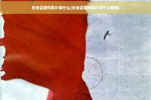 毕业证原件照片是什么(毕业证原件照片是什么意思)