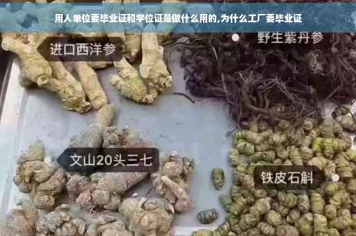 用人单位要毕业证和学位证是做什么用的,为什么工厂要毕业证