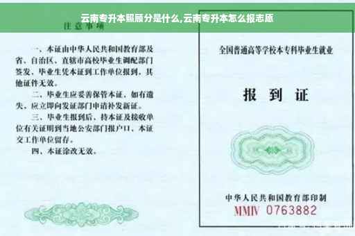 云南专升本照顾分是什么,云南专升本怎么报志愿