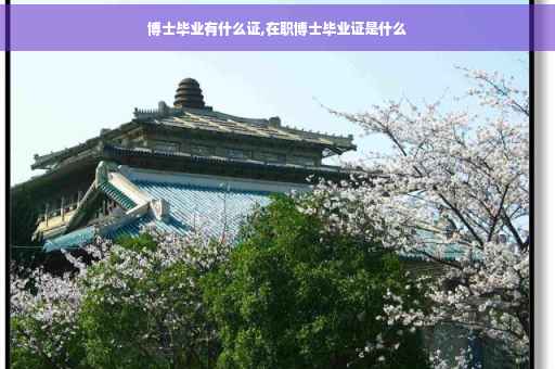 博士毕业有什么证,在职博士毕业证是什么