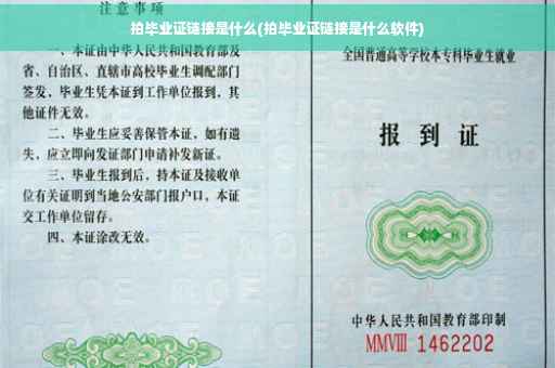 拍毕业证链接是什么(拍毕业证链接是什么软件)