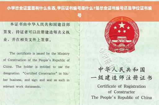 小学毕业证里面有什么东西,学历证书编号是什么?是毕业证书编号还是学位证书编号