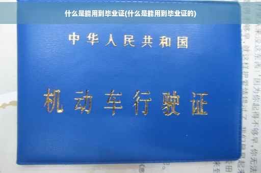 什么是能用到毕业证(什么是能用到毕业证的)