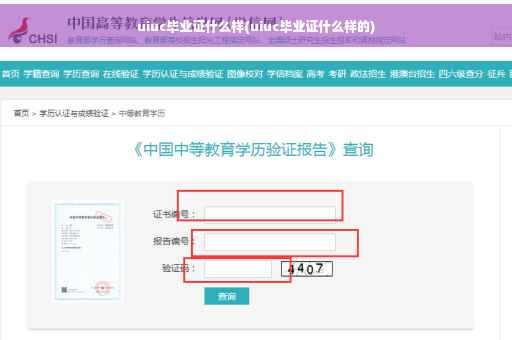 uiuc毕业证什么样(uiuc毕业证什么样的)