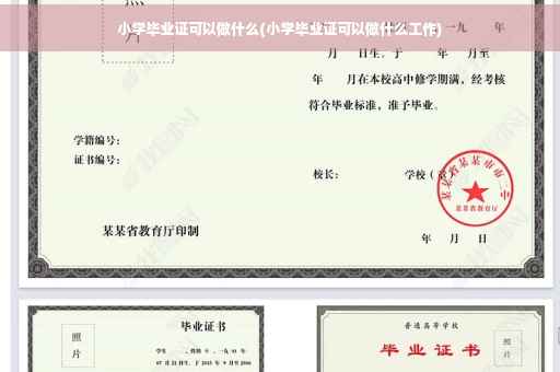 小学毕业证可以做什么(小学毕业证可以做什么工作)