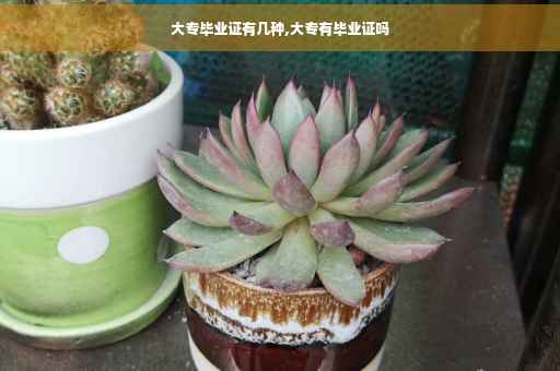 大专毕业证有几种,大专有毕业证吗