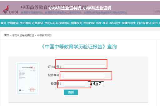 小学有毕业证书吗,小学有毕业证吗