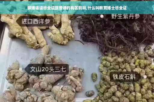 硕博连读毕业证跟普通的有区别吗,什么叫教育博士毕业证