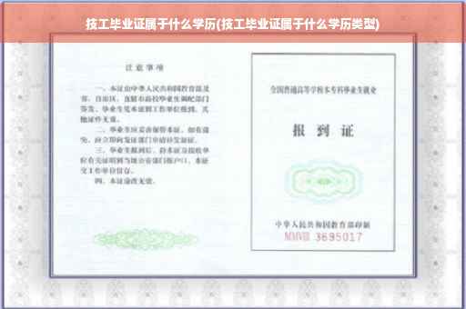 技工毕业证属于什么学历(技工毕业证属于什么学历类型)