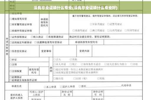 没有毕业证填什么专业(没有毕业证填什么专业好)