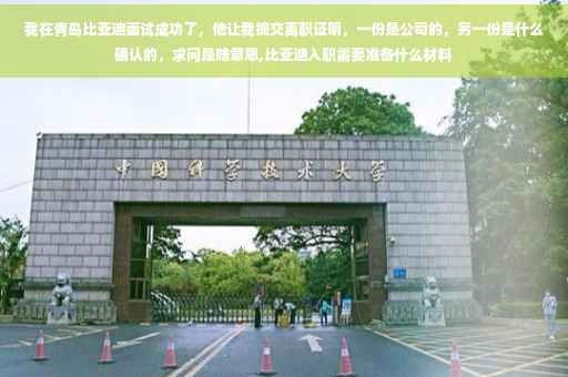 我在青岛比亚迪面试成功了，他让我提交离职证明，一份是公司的，另一份是什么确认的，求问是啥意思,比亚迪入职需要准备什么材料
