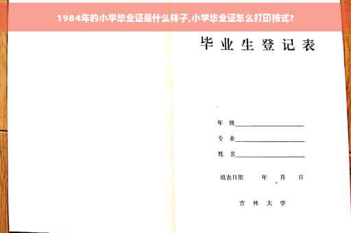 1984年的小学毕业证是什么样子,小学毕业证怎么打印格式?