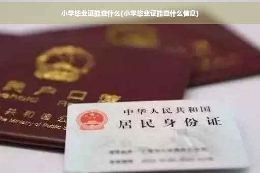 小学毕业证能查什么(小学毕业证能查什么信息)