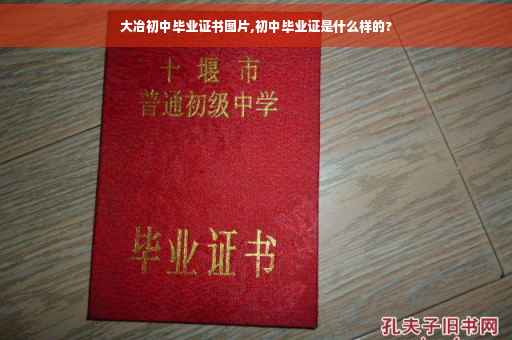 大冶初中毕业证书图片,初中毕业证是什么样的?