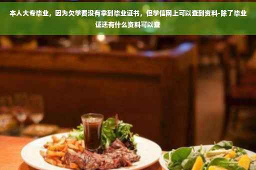 本人大专毕业，因为欠学费没有拿到毕业证书，但学信网上可以查到资料-除了毕业证还有什么资料可以查
