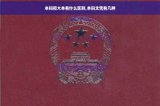 本科和大本有什么区别,本科文凭有几种