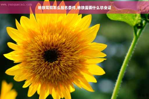 地铁驾照怎么报名条件,地铁需要什么毕业证
