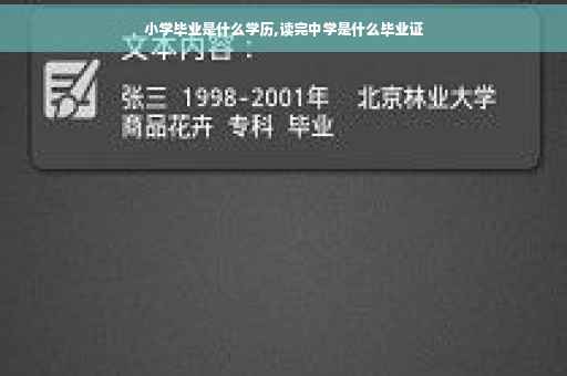 小学毕业是什么学历,读完中学是什么毕业证