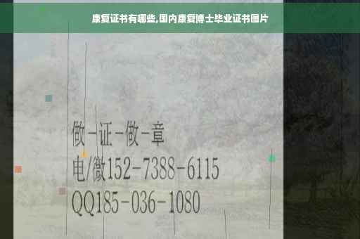 康复证书有哪些,国内康复博士毕业证书图片