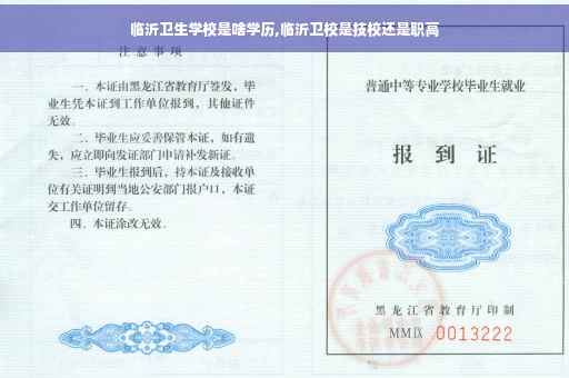 临沂卫生学校是啥学历,临沂卫校是技校还是职高