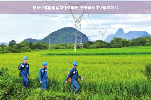 毕业证存根编号是什么意思,毕业证遗失证明怎么写
